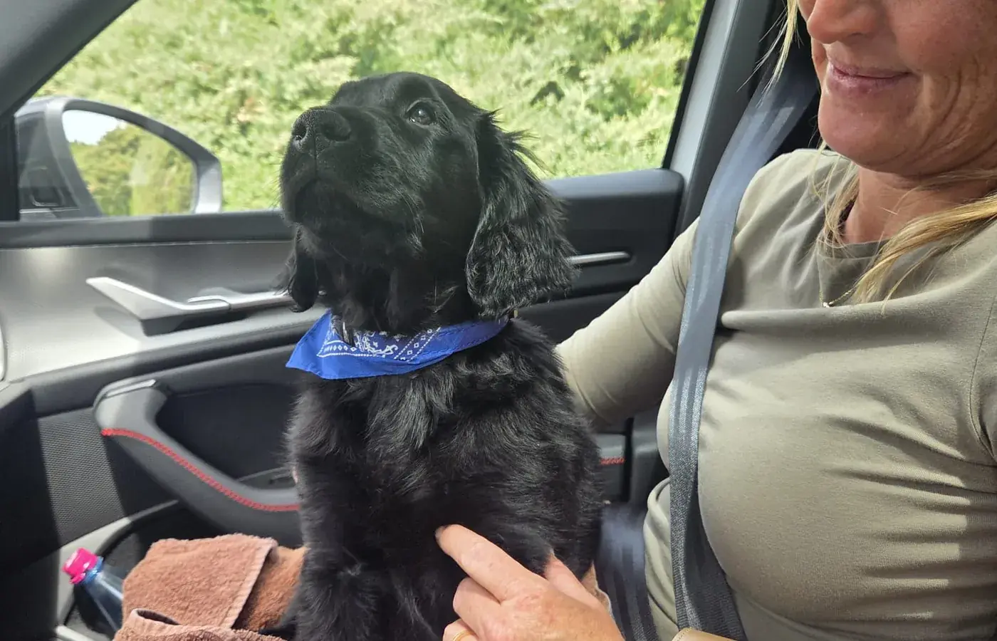 Halterin streichelt ihren Hund, der auf ihrem Schoß im Auto sitzt