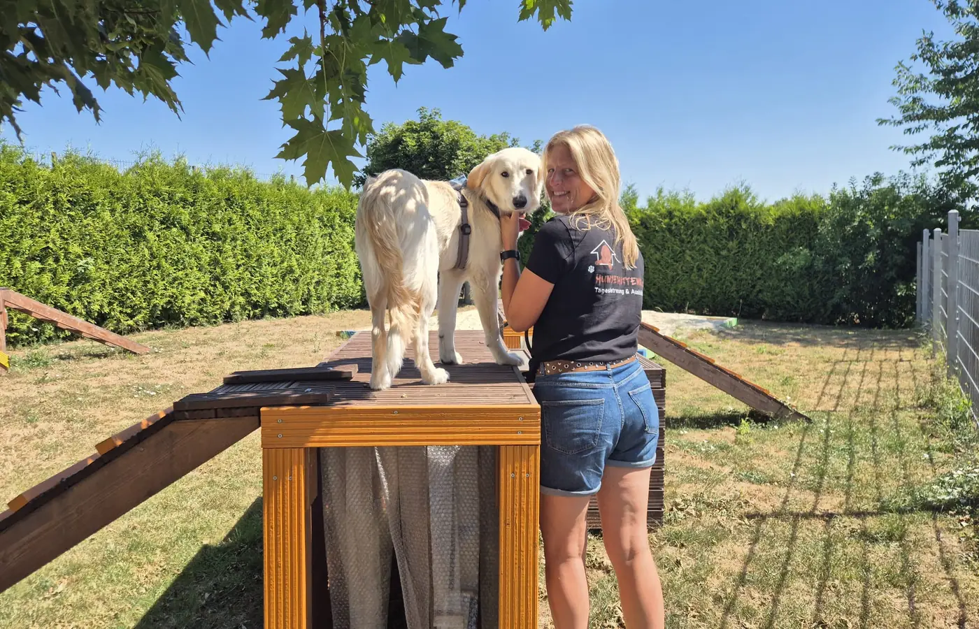 Zwei Hunde stehen mit Meike Morschel an einem Trainingsgerät im Freien
